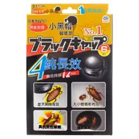 在飛比找蝦皮購物優惠-🔥現貨熱銷 興家安速 日本蟑螂盒 蟑螂屋 6入 小黑帽 蟑螂