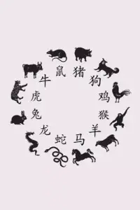 在飛比找博客來優惠-Chinese Lunar New Year: Chines