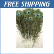 Versatile 25 Pcs Peacock Feathers 45-50" - Handcrafted Elegance in Every Piece
