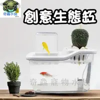 在飛比找蝦皮購物優惠-奇鱻水族【創意生態缸】魚菜共生 園藝 桌面裝飾 造景 舒壓 