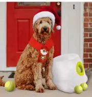 Automatic MAXI Dog Ball Thrower - Interactive Launcher, Fetch Toy NEW 6 BALLS
