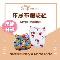 在飛比找蝦皮商城優惠-【美國 Nora's Nursery Mama Koala】