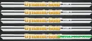 TRUE TEMPER Dynamic Gold 120 .355" Tip Steel Iron Shaft R300 Flex 6-PW Set of 5