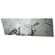 430g Muonionalusta meteorite part slice QA736
