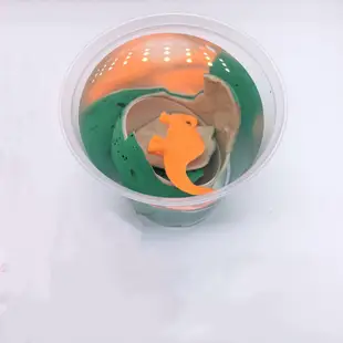 史前 恐龍蛋 膨脹恐龍 孵化恐龍蛋 泡水玩具 DIY 侏羅紀 恐龍 泡水蛋
