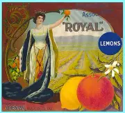 Corona Royal Queen Orange Citrus Crate Label Art Print