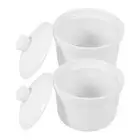 2 Pcs Stew Pot Dessert Bowl Cup Soup Holder Ceramic Lidded Steaming