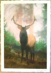 Original Western Wildlife ART Photograph Landscape ELK - Matted Signed 20 x 16”