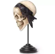 Alchemy Gothic Nevermore Skull Raven Masque Ornament Resin Mask Steel Decor V122