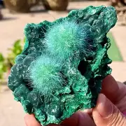 239G Indian dandelion zeolite Quartz Crystal Cluster Mineral Specimen