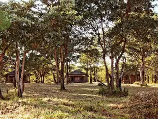 新澤拉帳篷野外營地&漫步野外住宿