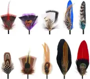 Hat Feathers, 10Pcs Assorted Natural Feather Packs Accessories for Fedora, Trilb