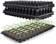 AIMALL Set of 12 Seedling Starter Trays – 72-Hole Plant Propagation Grow Boxes, 21.26 x 11.02 x 1.57 Inches for Nursery Seed Inserts & Germination