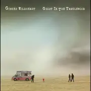 Ghost In The Tanglewood - GINGER WILDHEART CD