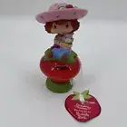 Vintage 2004 Strawberry Shortcake Bubble Bath in Character Bottle New Scented