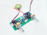 Pulse induction metal detector Pirate soldered and tested with speaker