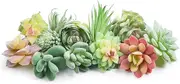 Mini Artificial Succulents Picks - 12 Pcs Unpotted Faux Succulent Assortment in Flocked Green in Different Type Different Size for Lotus Landscape Decorative Garden Arrangement Decor