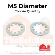 M5 Class 10 Internal Tooth Lock Washers Zinc Clear (Pick Quantity)