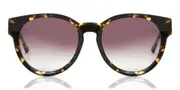 Sunday Somewhere CALYPSO C2 Men's Sunglasses Tortoiseshell Size 54