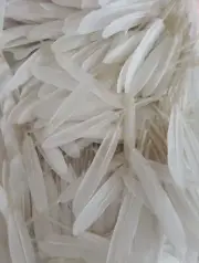 500 Wholesale White Duck Feather Craft Bundle Haberdashery Angel Wings Craft