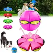 Doggy Disc Ball, The Doggy Disc Ball, Doggy Disc Ball for Dogs, Doggie Disc Ball, Doggy Disco Ball, Doggie Disk Ball, Self Bouncing Ball for Dogs, Pop Up Ball for Dogs (6 Lights,D)