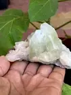 Light Green Apophyllite With Stilbite On Chalcedony Crystal And Mineral Specimen