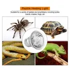 UVA UVB Full Spectrum Sun Lamp Reptile Heating Light Lamp Sunbathe Lizard Heat✈