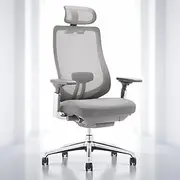 [COLAMY] Ergonomic Mesh Office Chair, High Back Executive Desk Chair with Adjustable Headrest, 4D Arm, Slide Seat, Tilt Lock, Lumbar Support, Grey