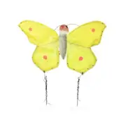 Common Brimstone Butterfly Finger Puppet