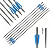 AAP Archery Arrows 31.5 Inches SP 500 For Compound Recurve Bow Hunting Practice