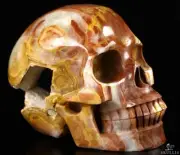 Geode 5.0" Afghanistan Jade Carved Crystal Skull,Realistic, Crystal Healing