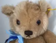 Steiff International TeddyBear Passport *5994* 0245/40 DOB: 1985 Original