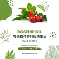 在飛比找蝦皮購物優惠-6041，Rosehip Oil，有機初榨智利玫瑰果油