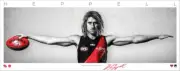 DYSON HEPPELL ESSENDON BOMBERS SIGNED WINGS AFL PRINT MERRETT DANIHER WATSON
