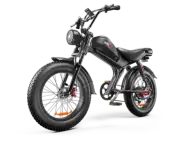 1000W 48V 20Ah Electric Bike All terrain Mountain Bike e-MTB Off-Road 20" E-Bike
