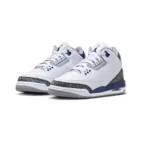 在飛比找momo購物網優惠-【NIKE 耐吉】Air Jordan 3 Retro 白灰