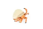 Hermit Crab Toy, Museum Quality Rubber Model, Educational, Figure, Figurine 5"