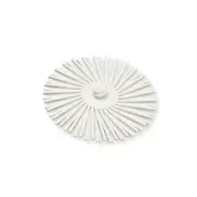 Scotch-Brite Roloc Radial Bristle Disc, 3 in 120, 10/Carton