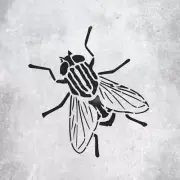 Fly Insect Stencil, Wall Art Craft Decor, Large Painting stencil for any surface