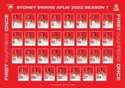 Sydney swans team poster, afl football, Geelong cats, bulldogs, demons,crows