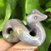 1pc Natural ocnean jasper snake skull quartz crystal hand carved decoration 2''