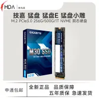 在飛比找露天拍賣優惠-Gigabyte/技嘉 M.2 PCIe SSD 256GB