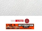 HOLDEN HK BROUGHAM SEDAN ROOF LINING OFF WHITE crater (10A)