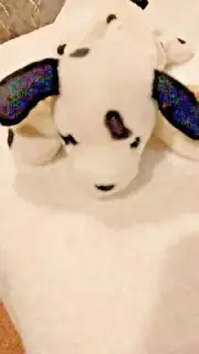 Dotty The Plush Dalmatian Dog TY Beanie Babies October 17, 1996
