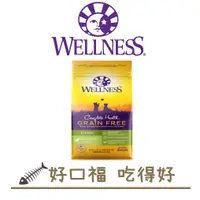 在飛比找蝦皮購物優惠-[好口福] Wellness 全方位無穀 幼貓 去骨雞肉食譜