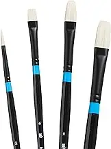 Princeton Tec Aspen Series P6500 Pro Set of 4 Brushes