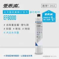 在飛比找Yahoo奇摩購物中心優惠-愛惠浦 EVERPURE EF6000活性碳濾芯(到府更換)