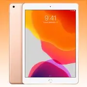 Apple iPad 7 10.2" Wifi 2019 (128GB, Rose) Australian Stock - Excellent