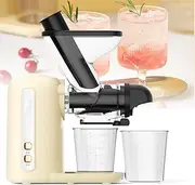 Juicer Machine, Cold Press Juicer 100W, Slow Juicer Machines Powerful Masticating Juicer Extractor, Multifunctional Automatic Small Fruit Juice Machine, for Fruits Vegetables and Herbs