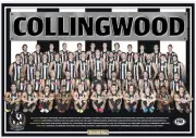 Collingwood magpies team poster, AFL football, Geelong cats, bulldogs,pies,crows